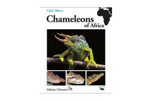 Chameleons of Africa